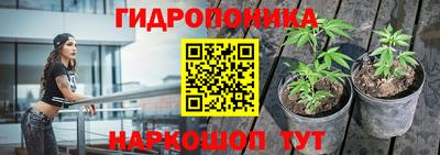 jwh Новозыбков