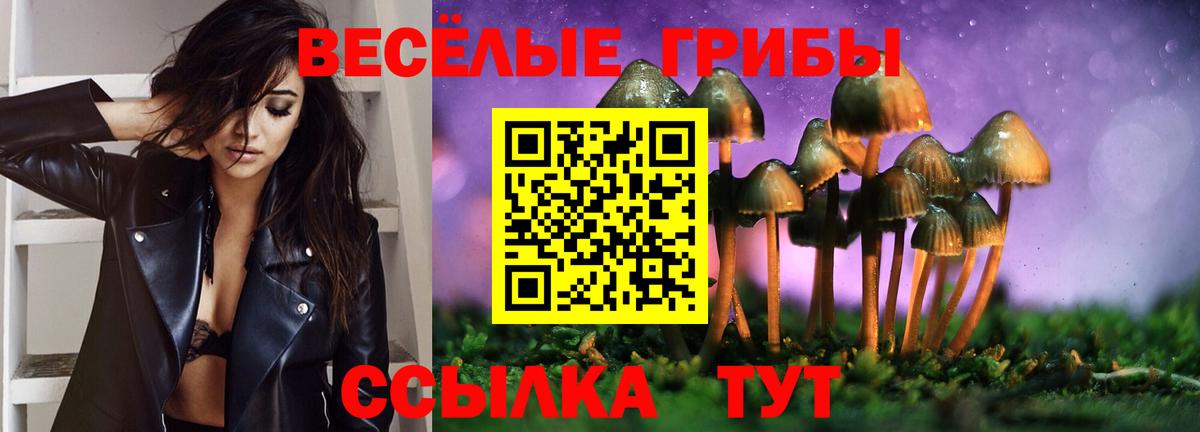 Псилоцибиновые грибы Magic Shrooms Славянск-на-Кубани